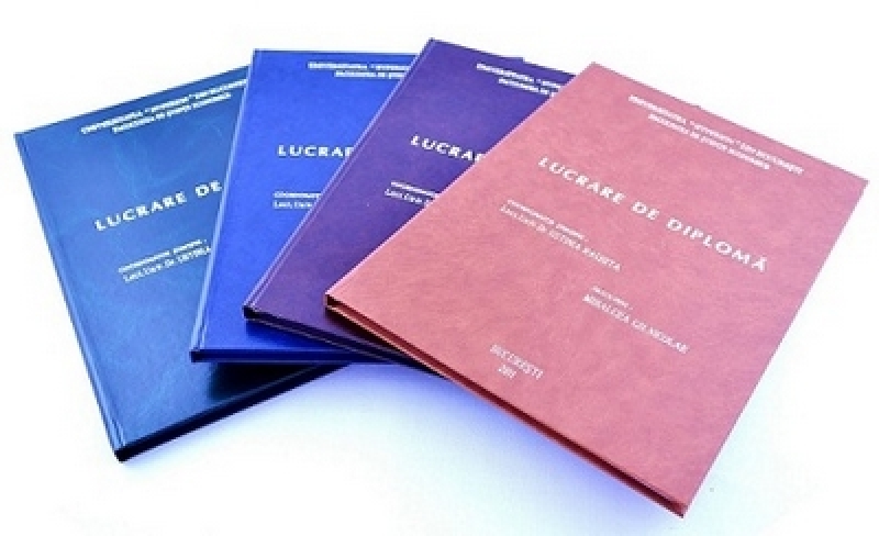 Lucrare de licență Universitatea Ștefan cel Mare din Suceava (USV)